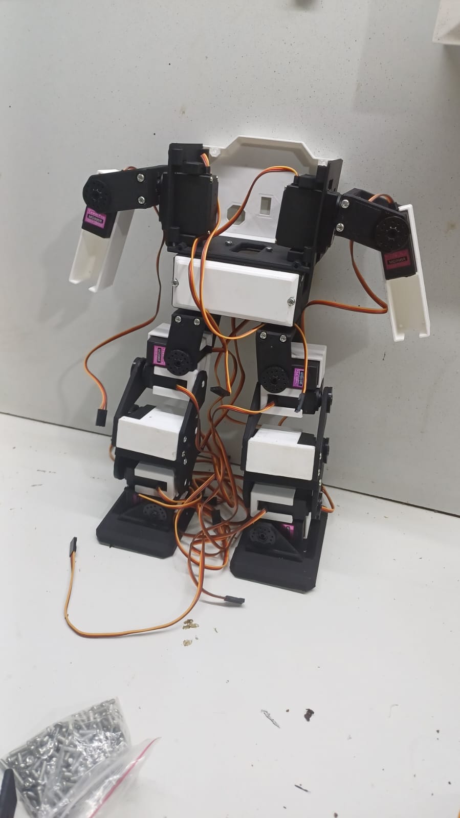 Robotic Project Assembly