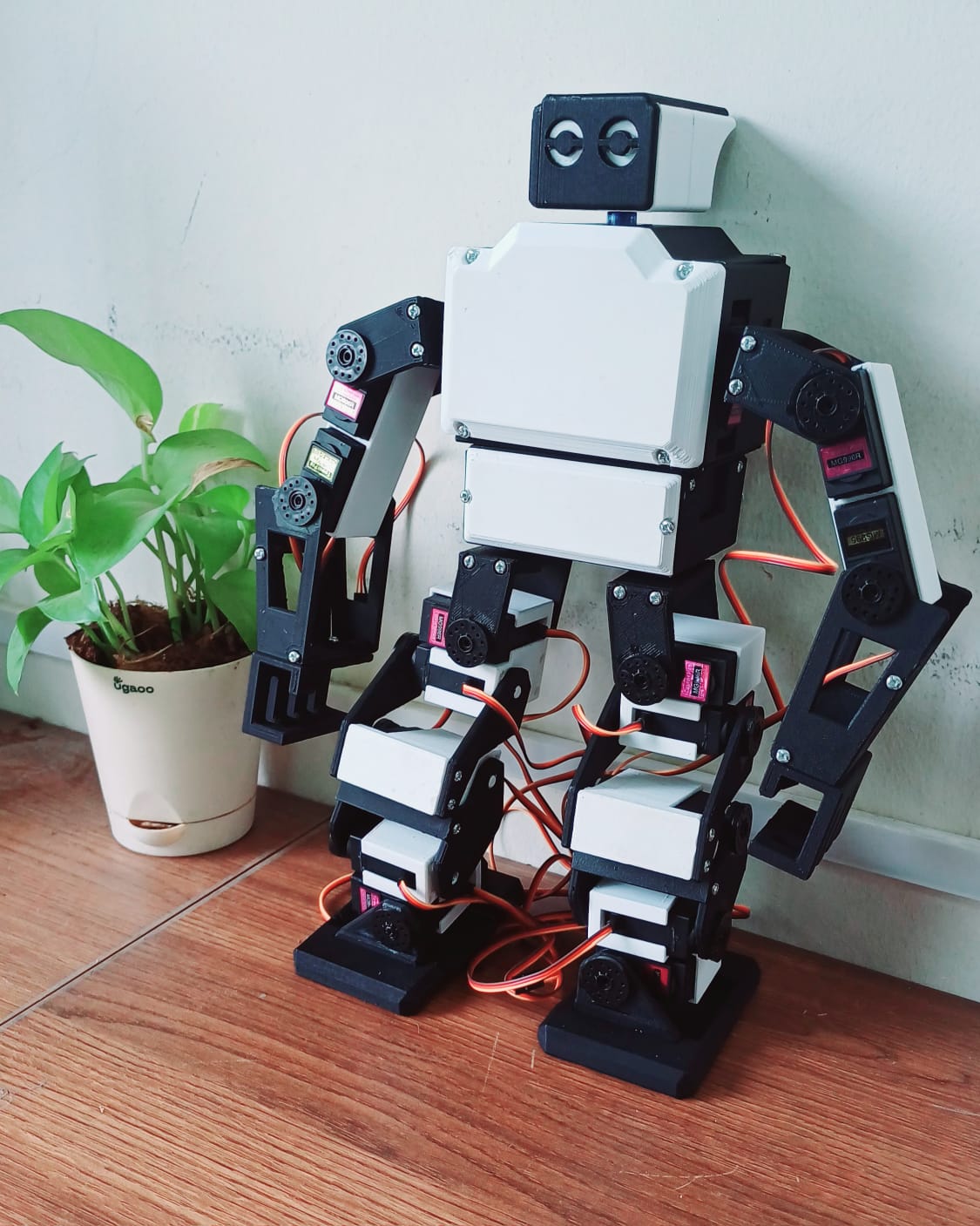 Custom Robot Design